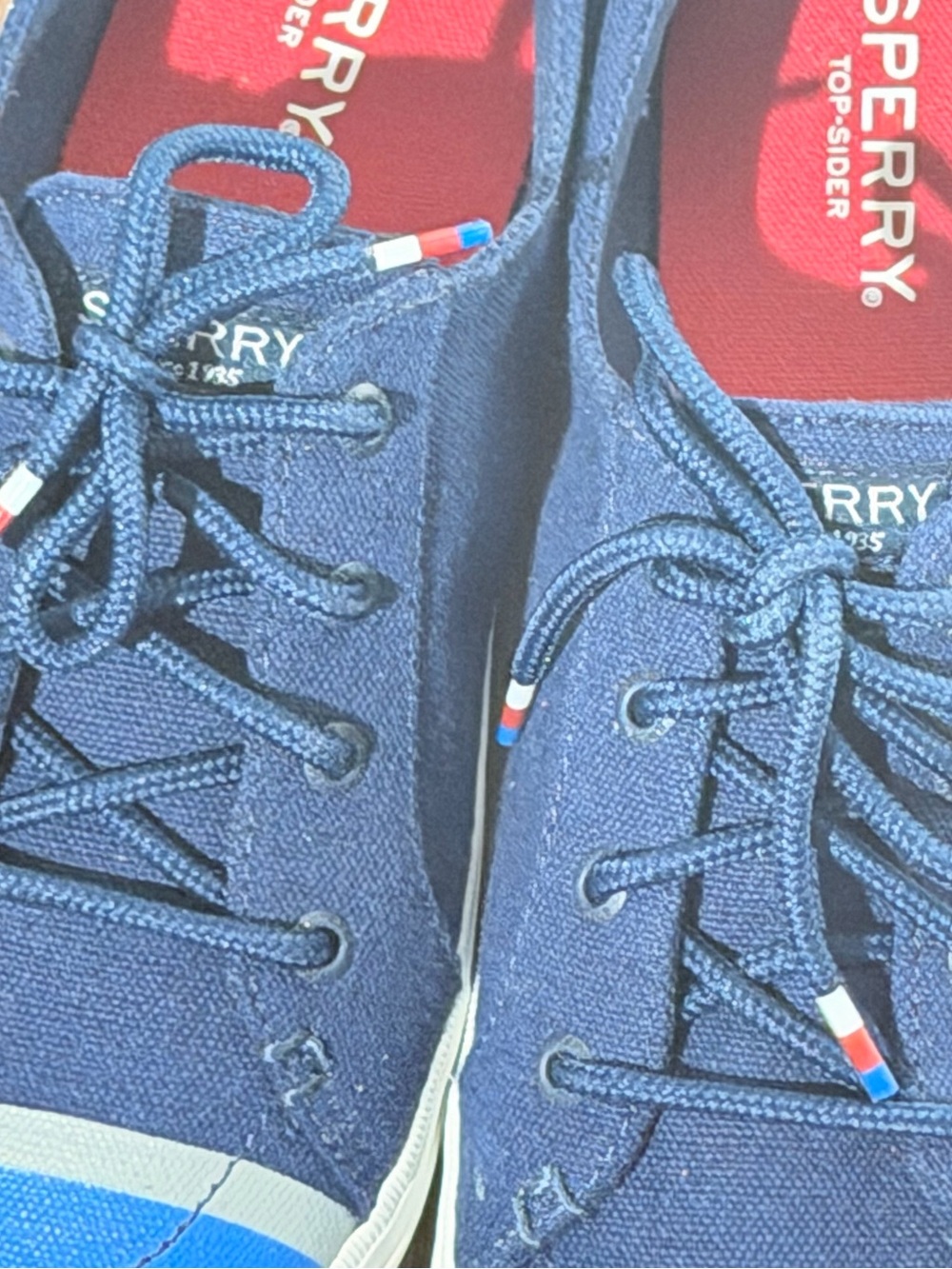 Sperry Navy Canvas Low-Top Sneakers with Red & Light Blue Accents - Picture 6 of 8